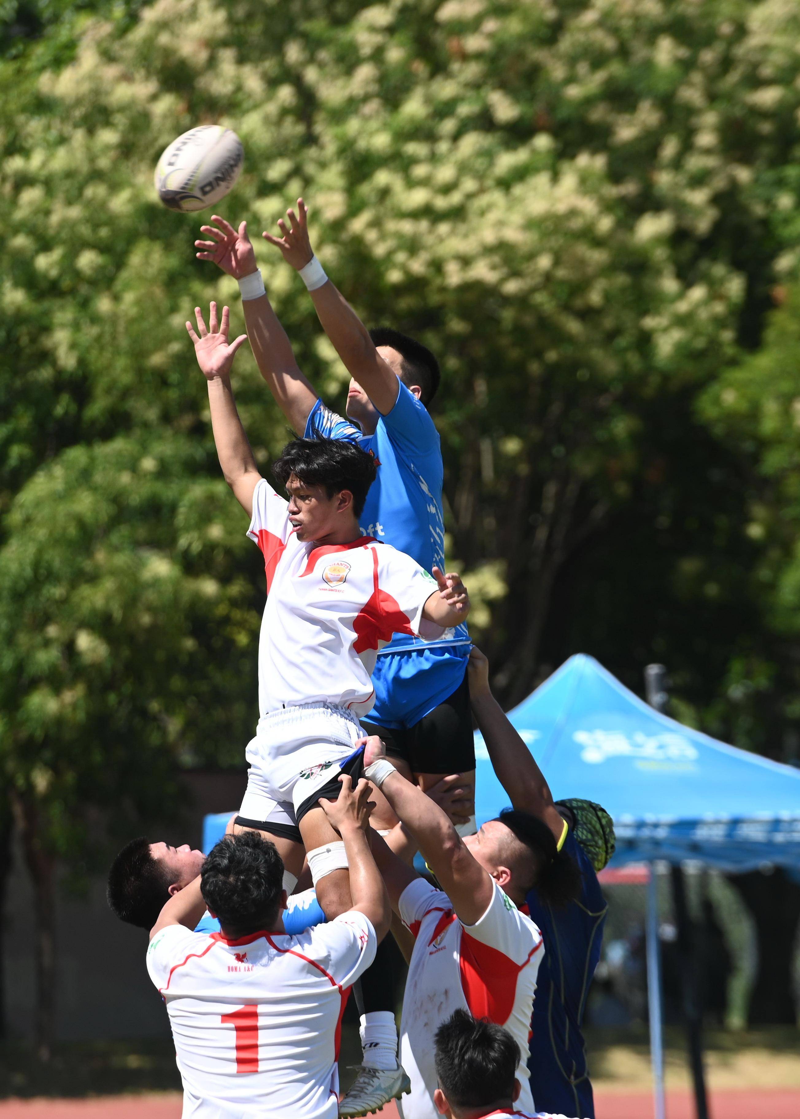 开云体育官网-关于橄榄球赛事精彩瞬间盘点，年度回顾震撼登场的信息