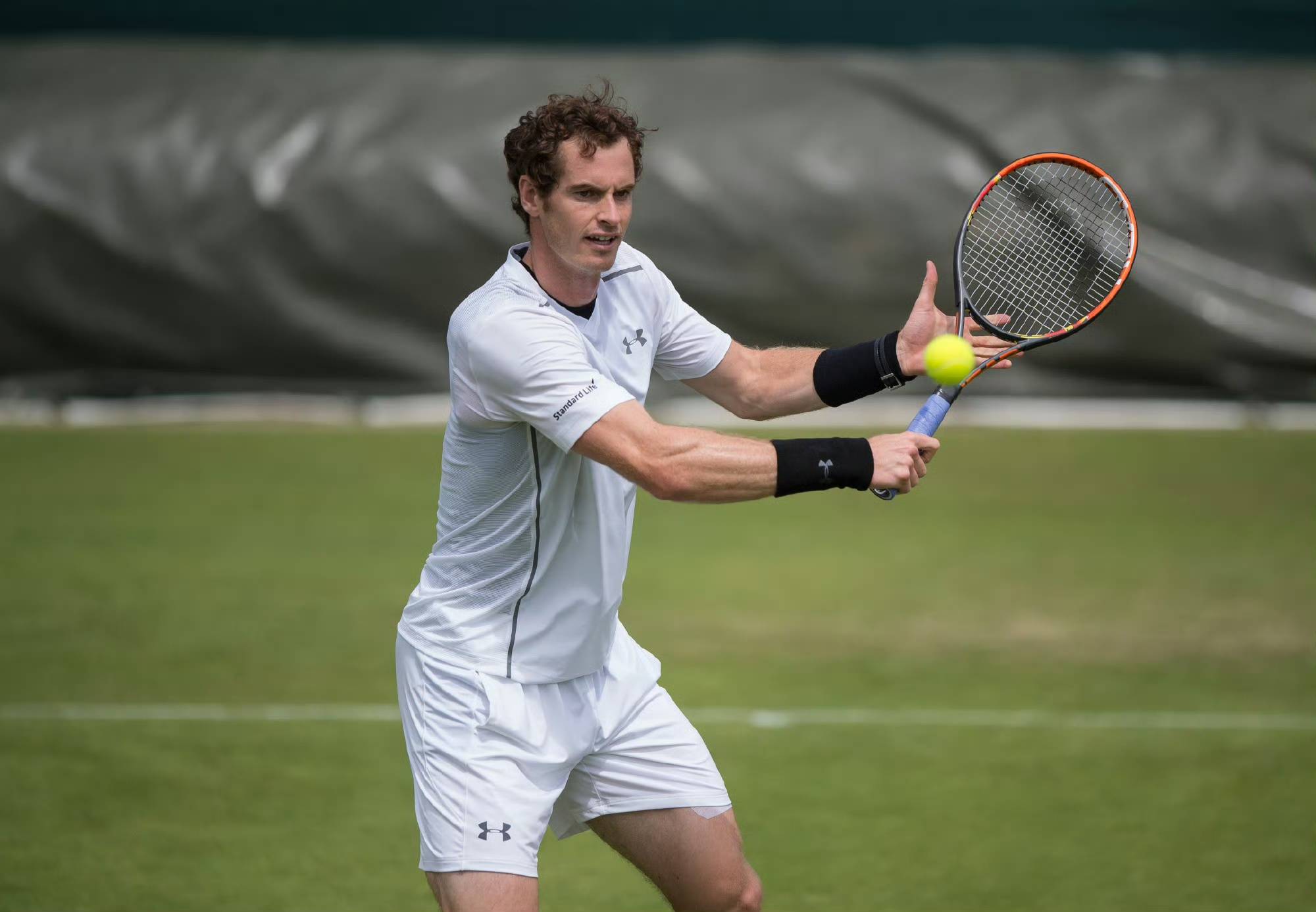 法网险胜温网，穆雷刷新纪录的简单介绍