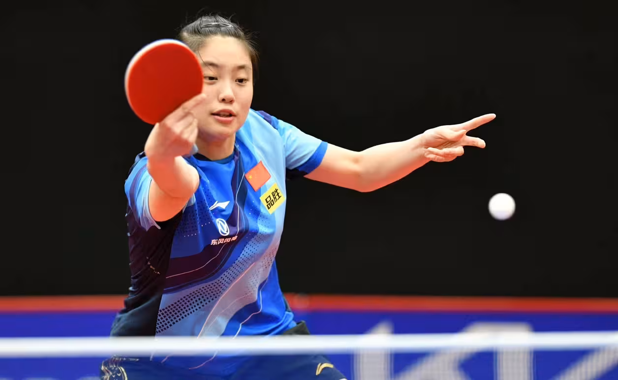 中国队险胜德国队，马琳惊艳四座的简单介绍