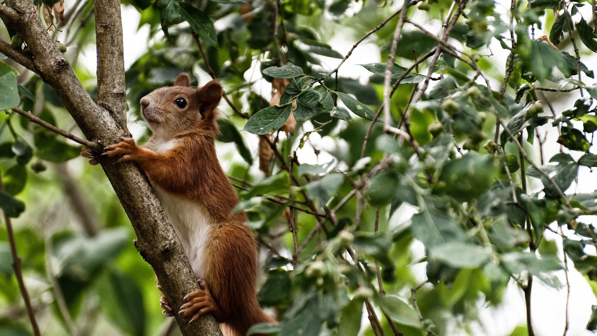 欧冠惊天逆转，京多安冷血锁胜局，玻利维亚风暴席卷马赛之夜