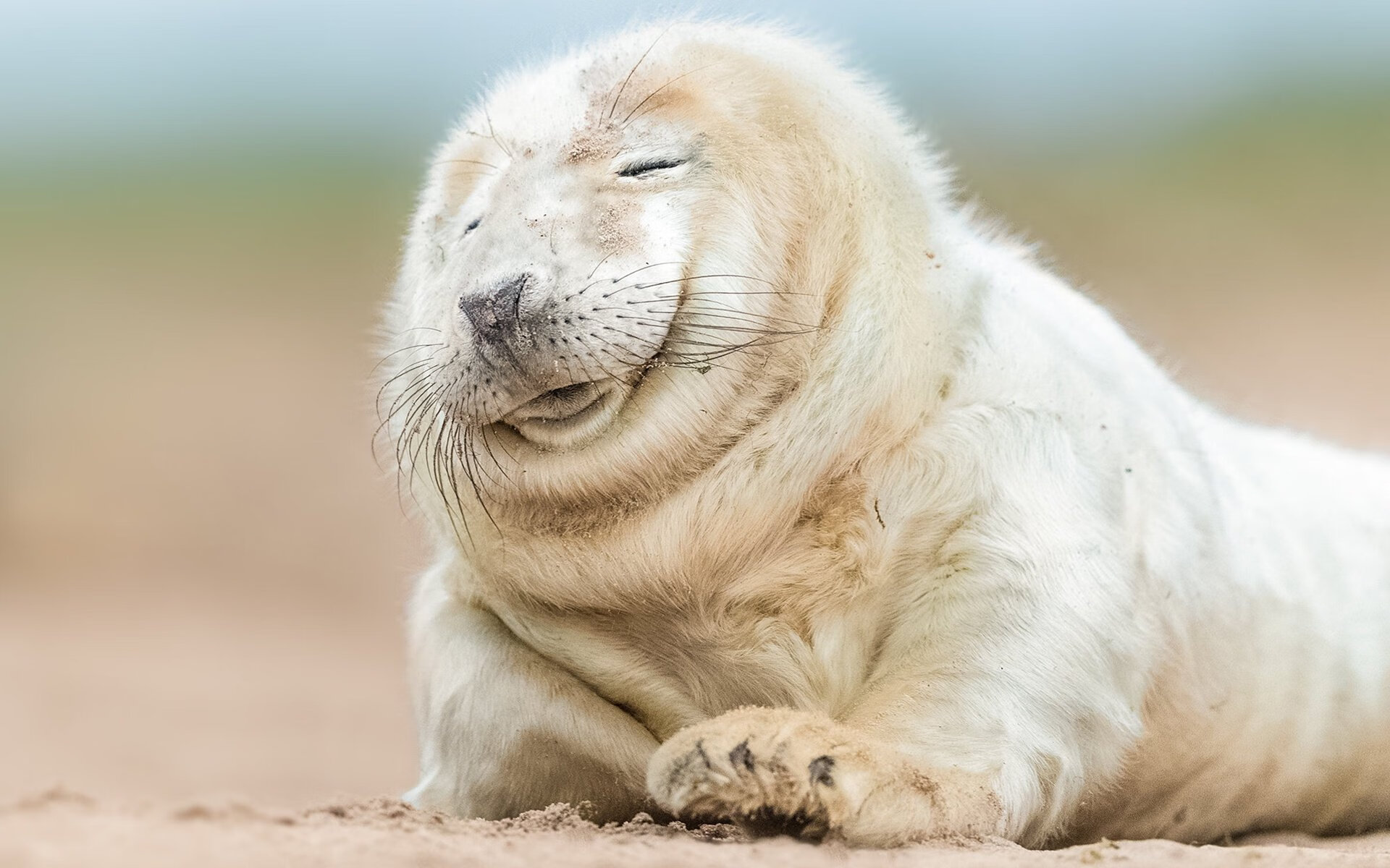 开云体育登录-（扩展思维后拟定）