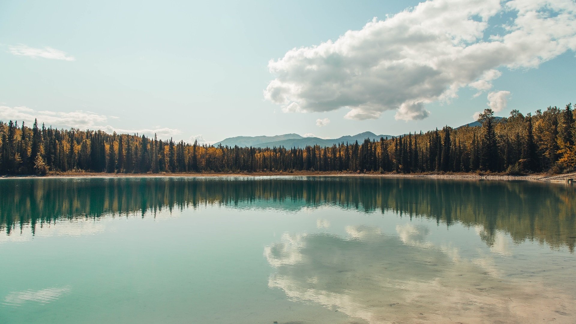 北非之鹰一锤定音，托尼关键先生助突尼斯全面压制波兰