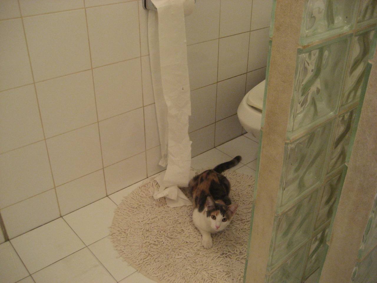 开云体育入口-独一无二的24小时，当足球的坚毅与篮球的神迹在时空交错