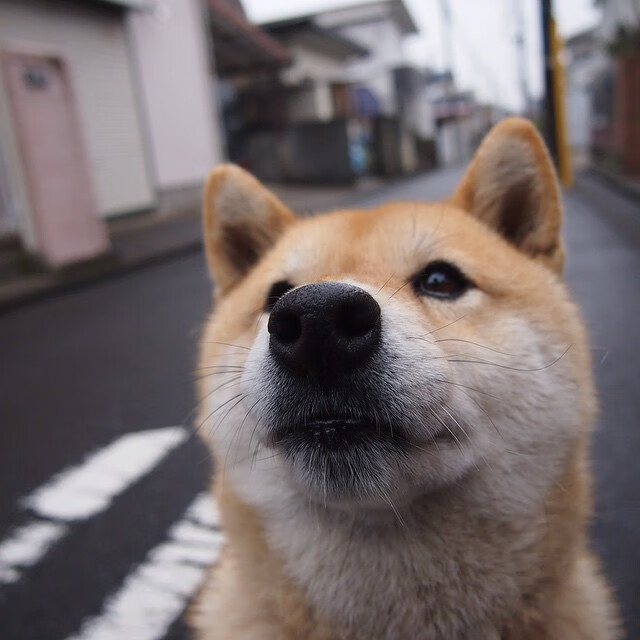 开云体育登录-浓眉彻底打爆防线，凯尔特人横扫火箭，不同方式的统治力