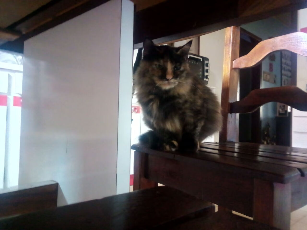 双城记,当加拿大冰川节奏冻结拜仁的巴伐利亚引擎