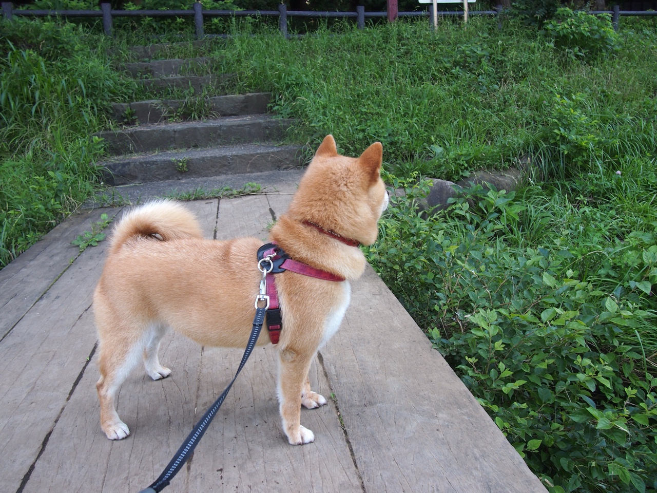 开云APP-铁壁防守与大师风范，卡塔尔零封比利亚雷亚尔，京多安演绎教科书级中场艺术