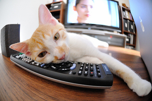 跨洋关键战，福克斯独闯龙潭定乾坤