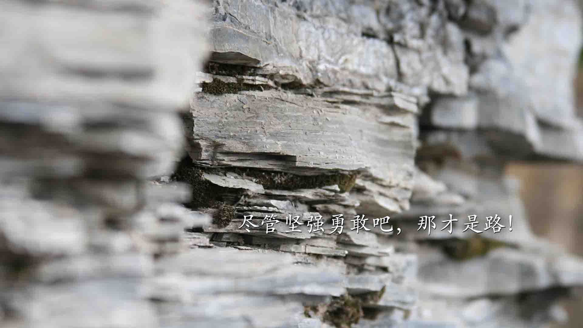 跨界传奇，詹姆斯助浙江队上演绝杀奇迹，步行者饮恨赛场