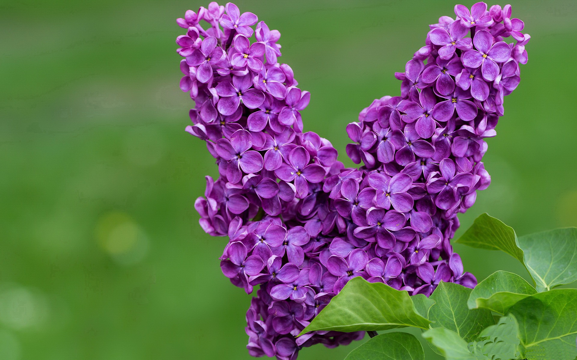 开云体育APP下载-抢七夜的叹息之墙，金玟哉25次解围改写历史，他被对手后卫称为无法理解的存在