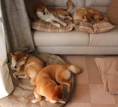 蒂亚戈之矛，厄瓜多尔高原如何终结永恒罗马的神话